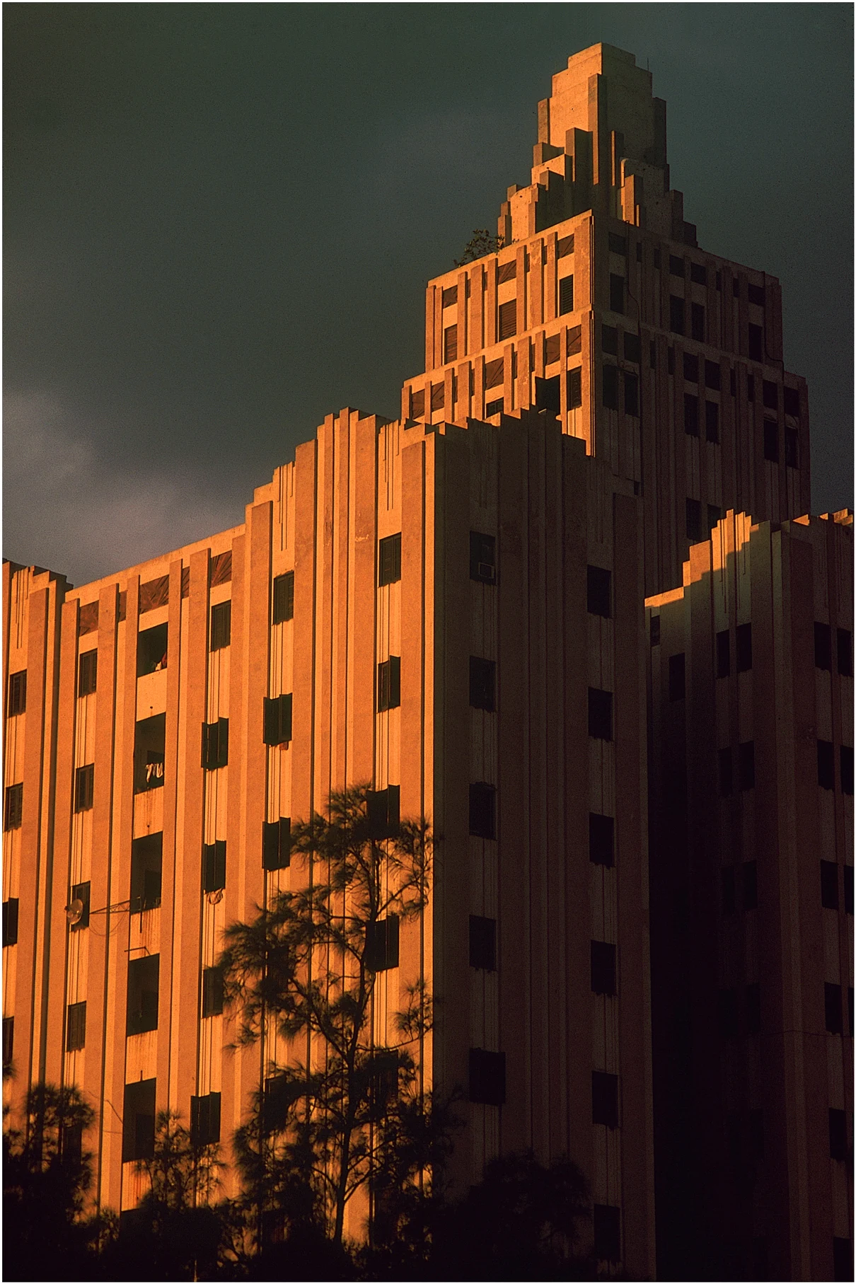 Fotografia de Angelo Maciel — Still