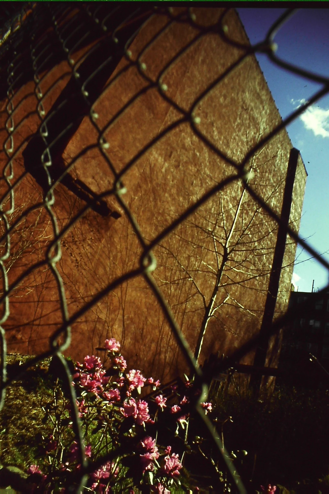 Fotografia de Angelo Maciel — Still