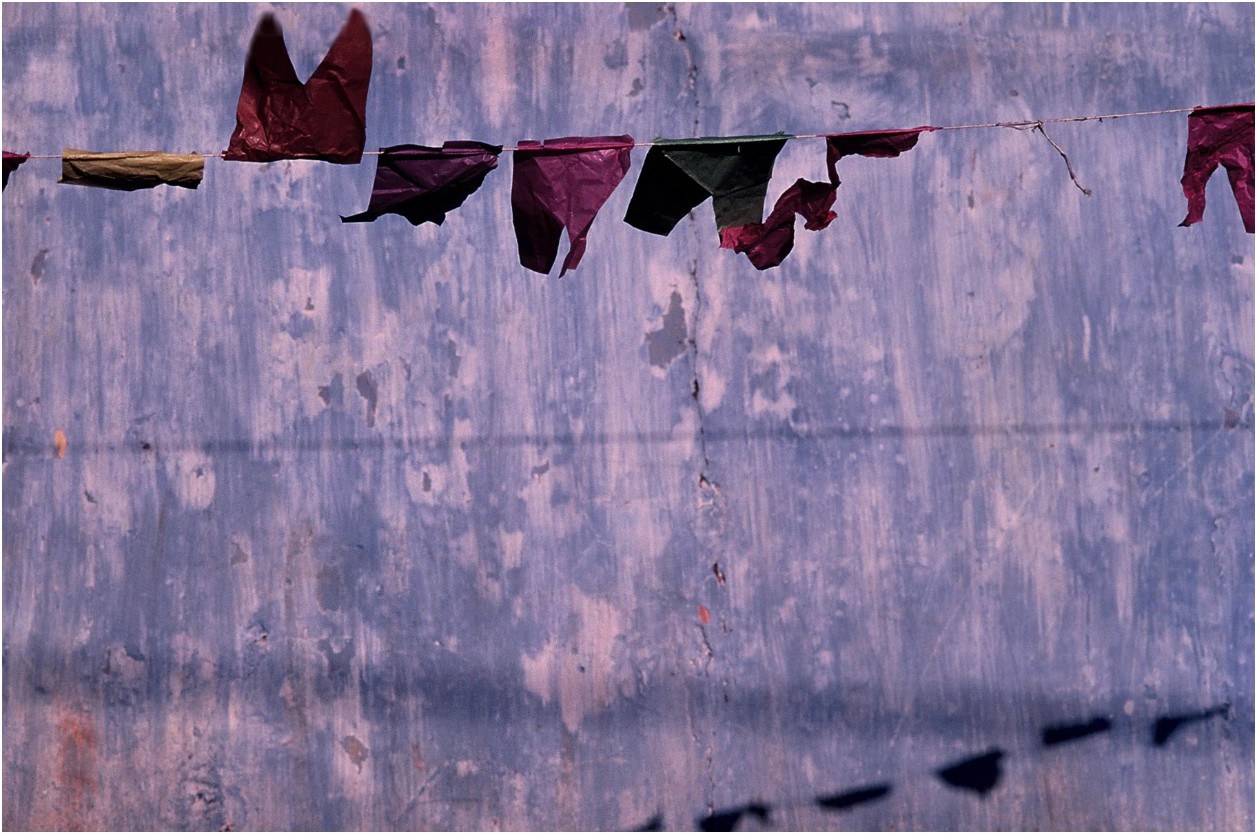 Fotografia de Angelo Maciel — Still