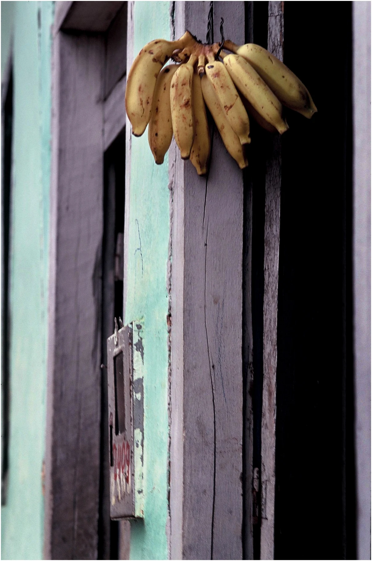 Fotografia de Angelo Maciel — Still